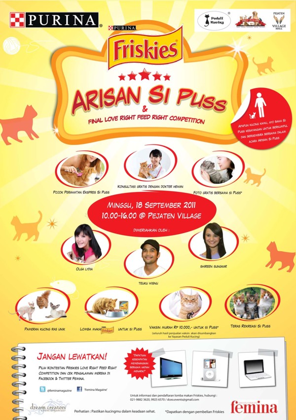 catshow kontes kucing catshow kontes kucing