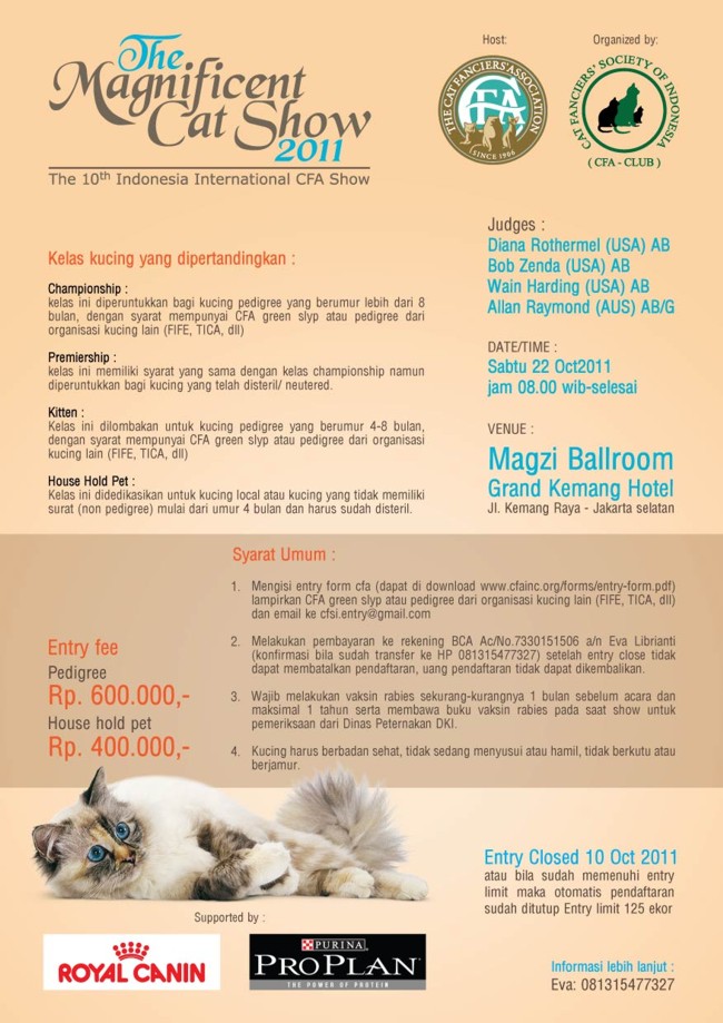 cfa cat show kontes kucing
